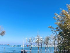-洱海月湿地公园
