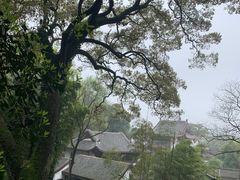 -岳麓山风景名胜区