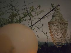 -花树下民宿(成都龙泉阳光城百工堰公园店)