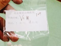 -北京观赏动物医院·24小时大型综合·猫专科·异宠专科