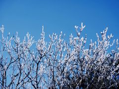 -鲁山国家森林公园