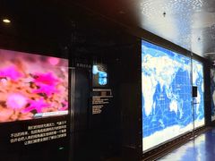 -同济大学四平路校区深海探索馆