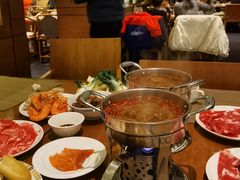 -悦椿温泉酒店·悦椿苑火锅餐厅