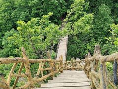 -香炉山国家森林公园