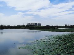 -大兴滨河森林公园