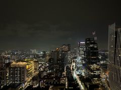 -新加坡瑞士史丹福酒店