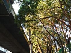 -谭师爷龙抄手(白下路店)