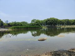 -蠡湖大桥公园