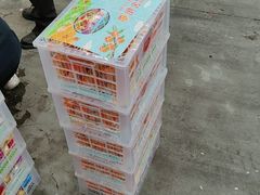 -西郊国际农产品交易中心