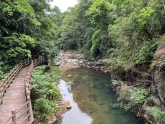 -广州市石门国家森林公园
