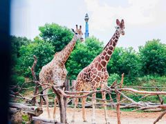 -杭州野生动物世界