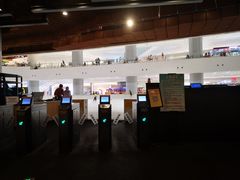 -TheRink大零溜冰场(IFS国金中心店)