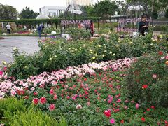 -龙环葡韵住宅式博物馆