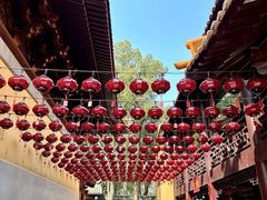 -亭林园-华藏寺