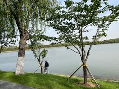 -羊山湖公园