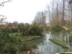 -桤木河湿地公园