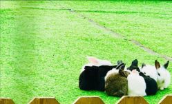 -萌宠亲子动物乐园(槐房万达店)