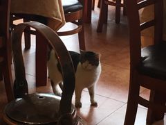 -维吾尔餐厅(宜山路店)