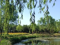 -东郊湿地公园