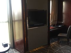 -常州环球恐龙城维景国际大酒店