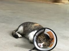 -五月木作·DIY木作文创体验店(北京路店)