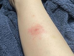 -陕西省游泳跳水馆