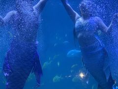 -左海海底世界