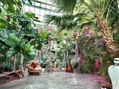 -东方华地城湿地温泉度假区