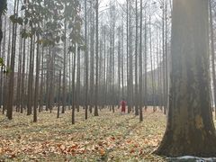 -河南省黄河迎宾馆