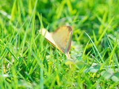 -浙江万里学院(钱湖校区)