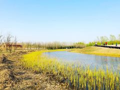 -东郊湿地公园
