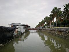 -大湾区中央湿地公园-十九涌