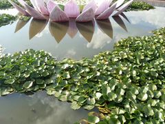-帽儿山风景区
