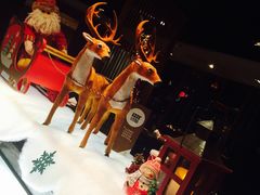 -金海湾自助餐厅(金陵饭店)