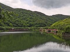 -广州市流溪河国家森林公园