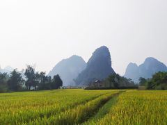 -靖西鹅泉风景区