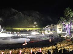 -婺源梦里老家大型山水实景演出