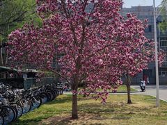 -中国石油大学（北京）(北京西校区)