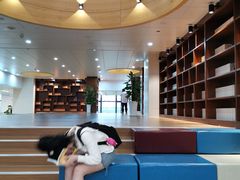 -厦门市图书馆(集美新城馆区)