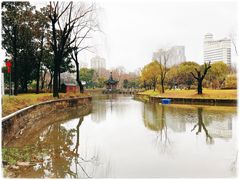 -和平公园