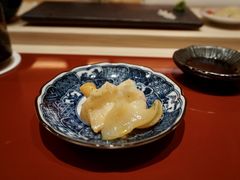 海螺-橼舍鮨青木