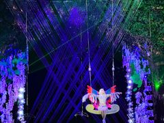 -广州长隆国际大马戏