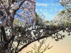 -南通鲜花小镇