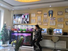 -诚之康口腔矫正种植中心(天通苑店)