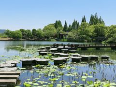 -尚湖风景区