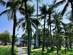 -大梅沙海滨公园