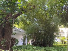 -三亚南山文化旅游区