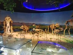 -安徽省地质博物馆