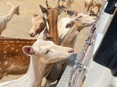 -南京金牛湖风景区