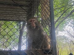 -长白岛森林公园